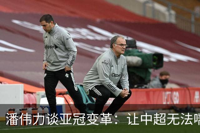 潘伟力谈亚冠变革：让中超无法喘息 球迷不用看了